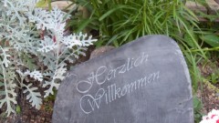 Bildbeschreibung